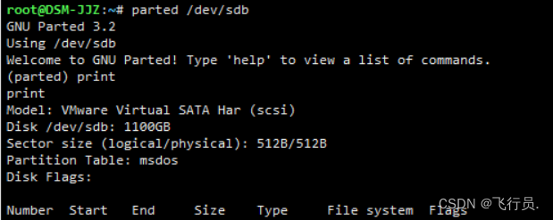【ESXi中的群晖存储空间扩容】插图6 在这里插入图片描述