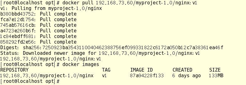Docker–harbor私有仓库部署与管理插图17 Docker–harbor私有仓库部署与管理插图17