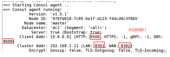 Docker + Consul + registrator实现服务发现及nginx反向代理插图1 Docker + Consul + registrator实现服务发现及nginx反向代理插图1