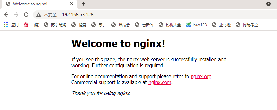Docker部署-通过nginx管理web前端页面插图 Docker部署-通过nginx管理web前端页面插图