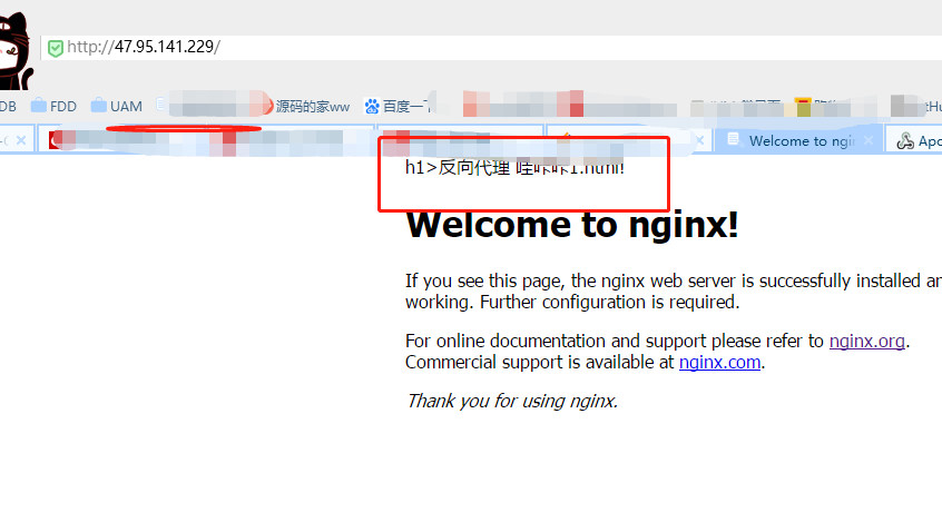 用 Docker 运行 Nginx 容器做域名反向代理插图1 用 Docker 运行 Nginx 容器做域名反向代理插图1