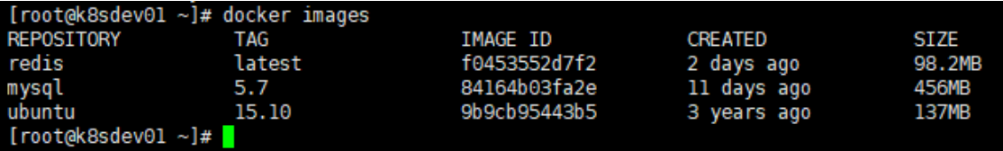 centos7安装docker 以及docker安装redis,mysql,前后端打包镜像运行插图2 centos7安装docker 以及docker安装redis,mysql,前后端打包镜像运行插图2