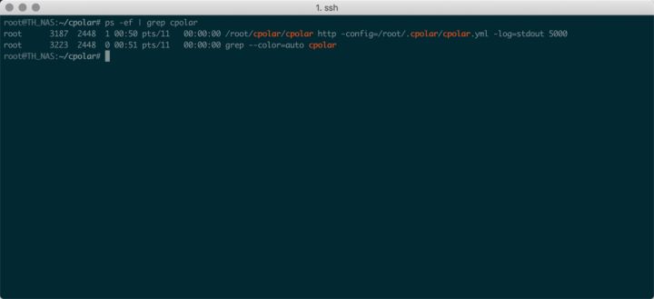 内网穿透远程访问家里的群晖NAS 2-2插图3 内网穿透远程访问家里的群晖NAS 2-2插图3