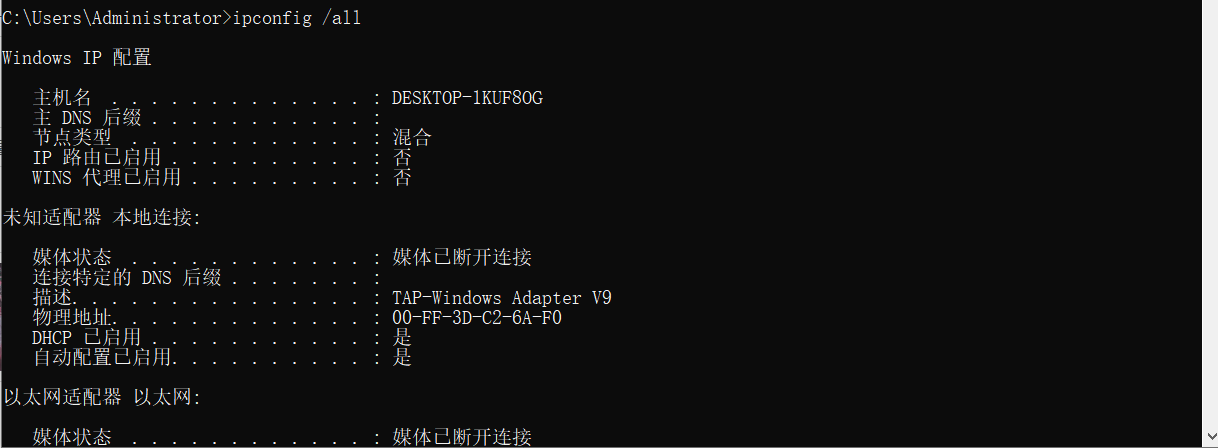 无需内网穿透(IPV6)搭建本地私服个人网站插图3 image.png
