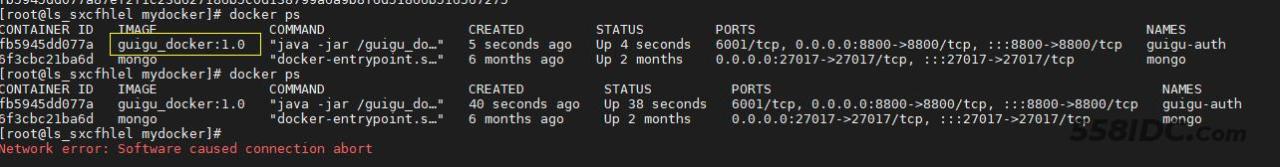 Docker+Nginx打包部署前后端分离步骤实现插图14 image-20221230171116141