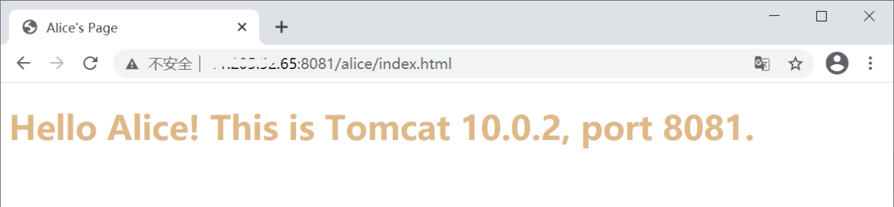 运维入门——Nginx 基础插图6 image