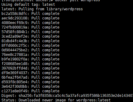 Docker中安装WordPress插图 Docker中安装WordPress插图