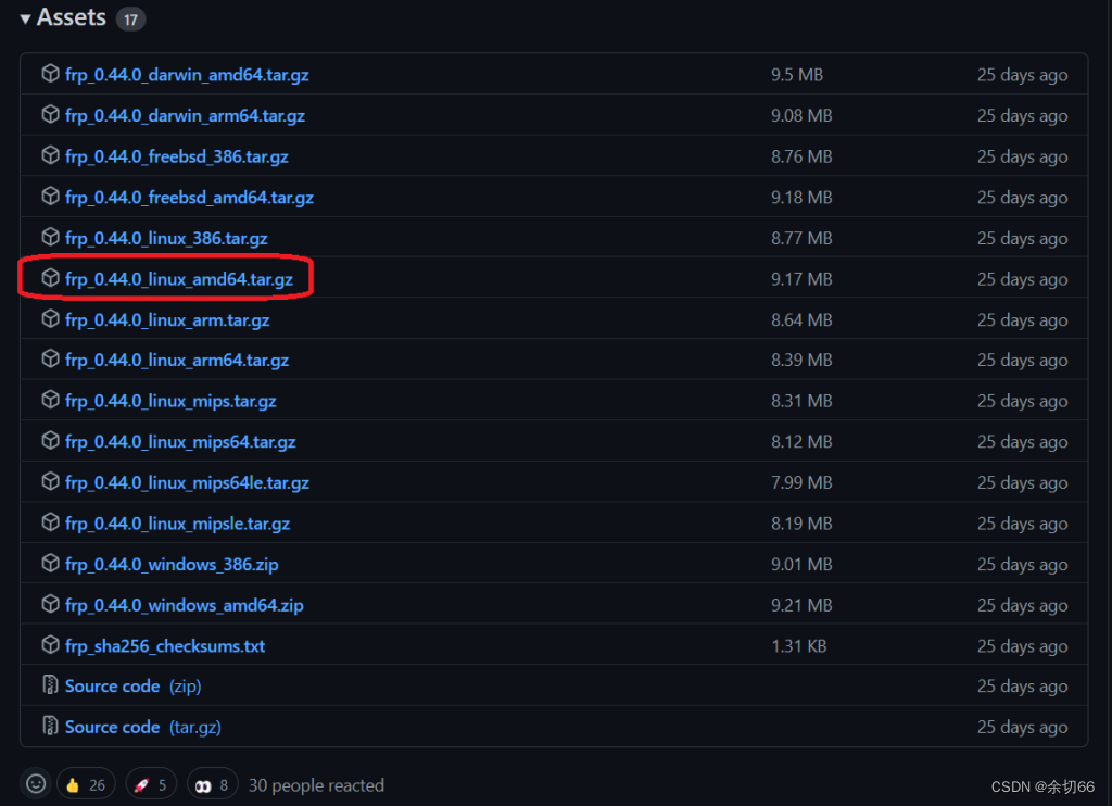 frp内网穿透搭建插图 frp内网穿透搭建插图