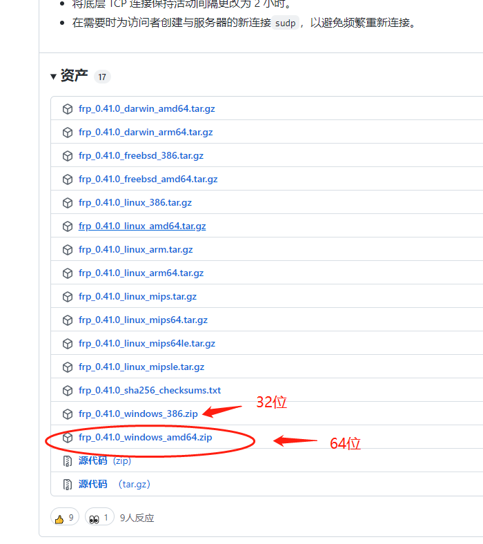 用frp开源工具,实现内网穿透(详细教程)插图 用frp开源工具,实现内网穿透(详细教程)插图