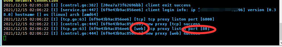 frp配置内网穿透教程（超详细）插图7