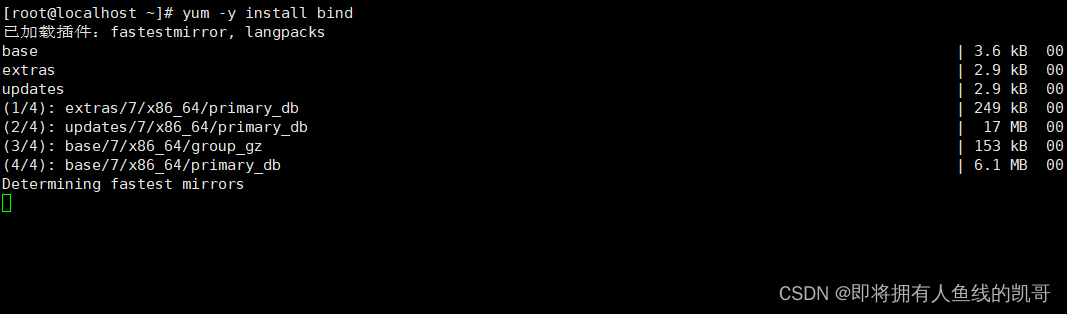 Linux网络之DNS域名解析概述插图1