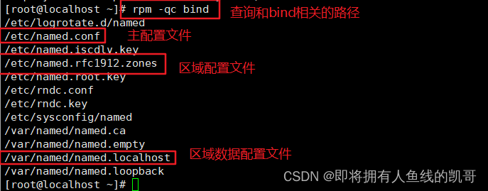 Linux网络之DNS域名解析概述插图2