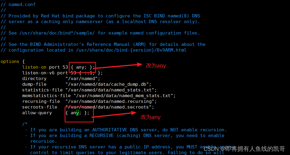 Linux网络之DNS域名解析概述插图4