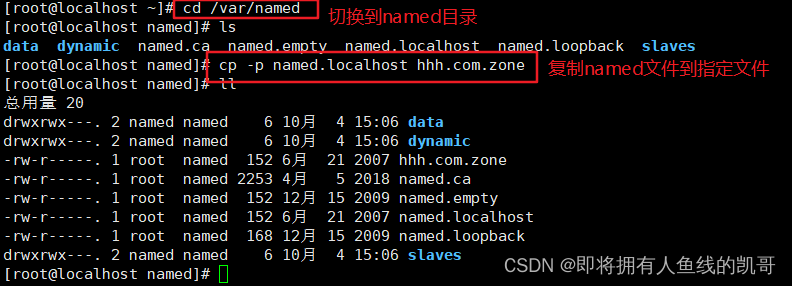 Linux网络之DNS域名解析概述插图7