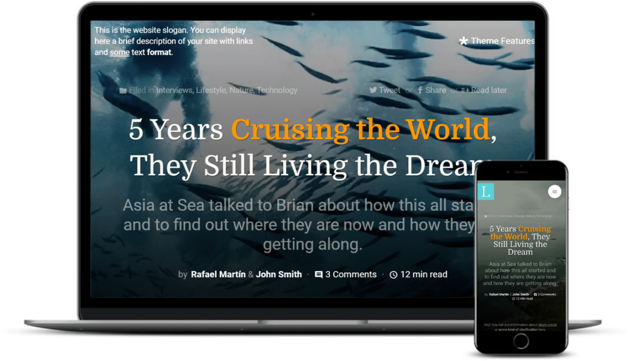 10个最佳WordPress主题(如中型)(适用于博客,企业等)插图6 10个最佳WordPress主题(如中型)(适用于博客,企业等)插图6