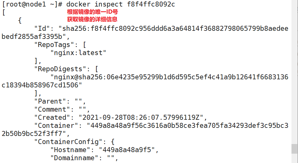 Docker基本概念及安装(图文详解)插图10 Docker基本概念及安装(图文详解)插图10