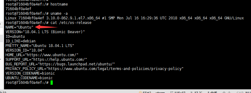 docker的简单使用插图2 docker的简单使用插图2