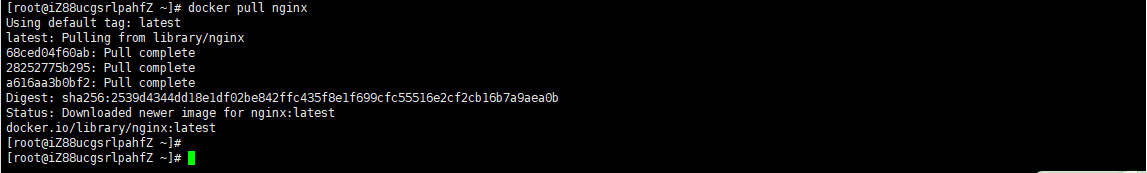 Docker教程:使用Docker容器运行Nginx并实现反向代理插图 Docker教程:使用Docker容器运行Nginx并实现反向代理插图