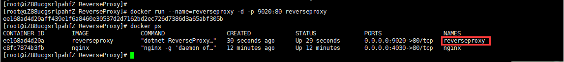 Docker教程:使用Docker容器运行Nginx并实现反向代理插图7 Docker教程:使用Docker容器运行Nginx并实现反向代理插图7