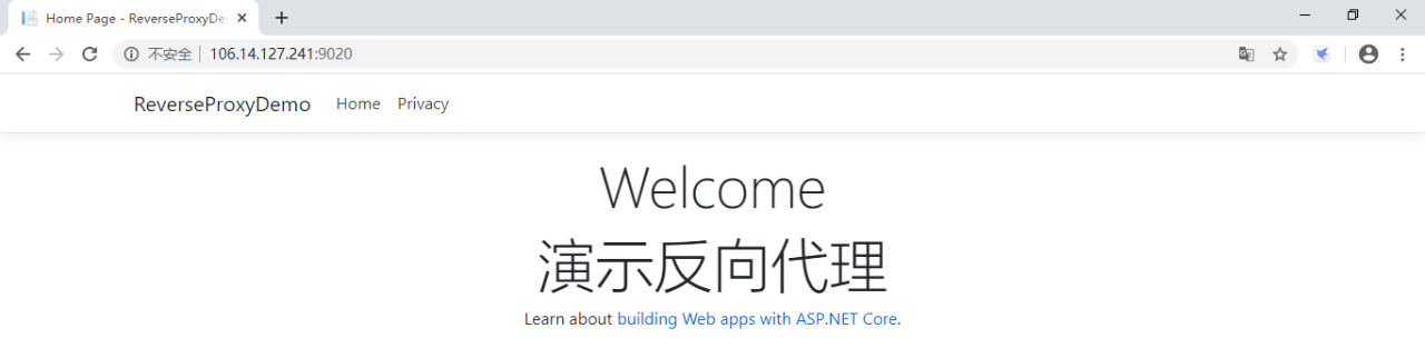 Docker教程:使用Docker容器运行Nginx并实现反向代理插图8 Docker教程:使用Docker容器运行Nginx并实现反向代理插图8