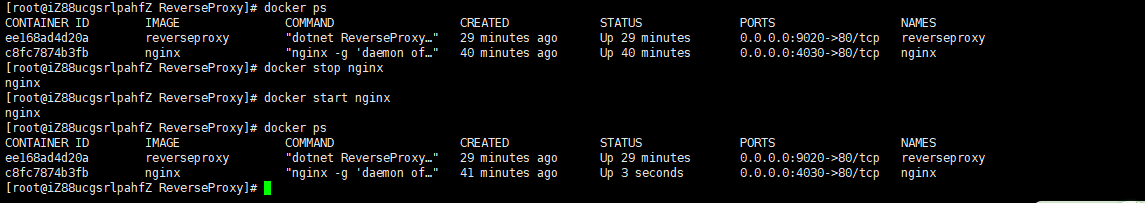 Docker教程:使用Docker容器运行Nginx并实现反向代理插图18 Docker教程:使用Docker容器运行Nginx并实现反向代理插图18