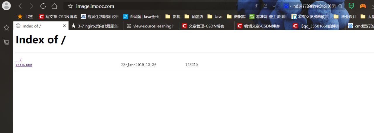 Nginx反向代理服务器域名解析配置实操插图6 Nginx反向代理服务器域名解析配置实操插图6