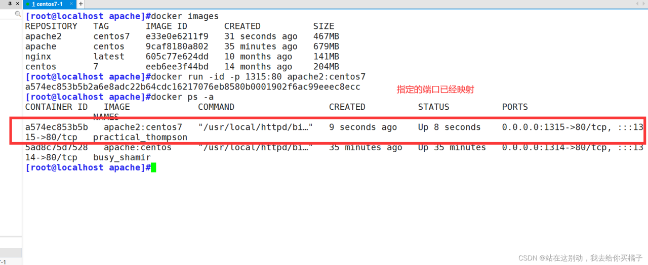 【云原生】Docker镜像的创建,Dockerfile插图11 【云原生】Docker镜像的创建,Dockerfile插图11