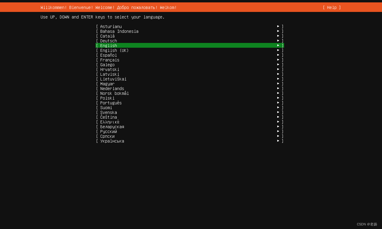 安装使用 Ubuntu 20.04.1 LTS Server 图文插图 安装使用 Ubuntu 20.04.1 LTS Server 图文插图