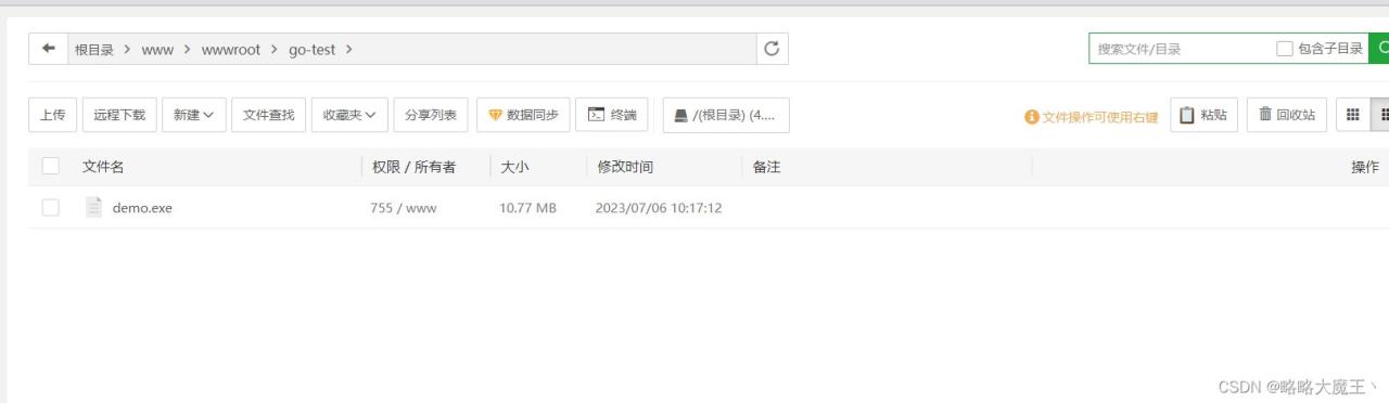 简单尝试将go项目用宝塔部署到服务器插图 简单尝试将go项目用宝塔部署到服务器插图