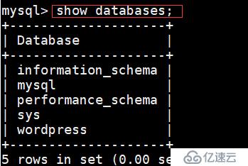 docker做mysql分布式_docker安装WordPress-web mysql分布式安装插图12 4443c1cb5098ef62b05034a9bff2b05d.png