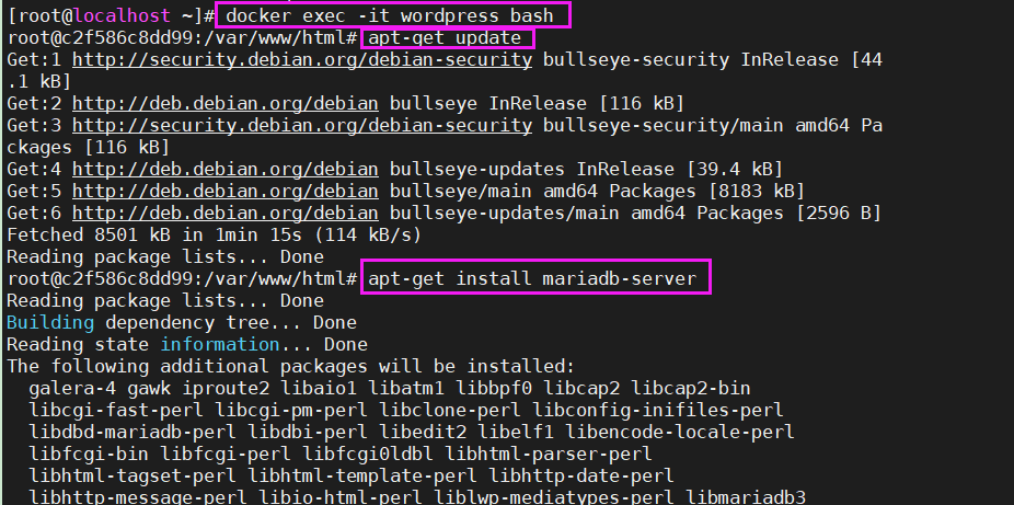 【Docker+WordPress+Mysql】1个容器+3个步骤,避坑快速搭建插图 img