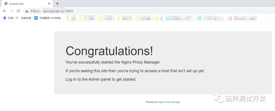 docker应用:搭建反代神器Nginx Proxy Manager插图 图片