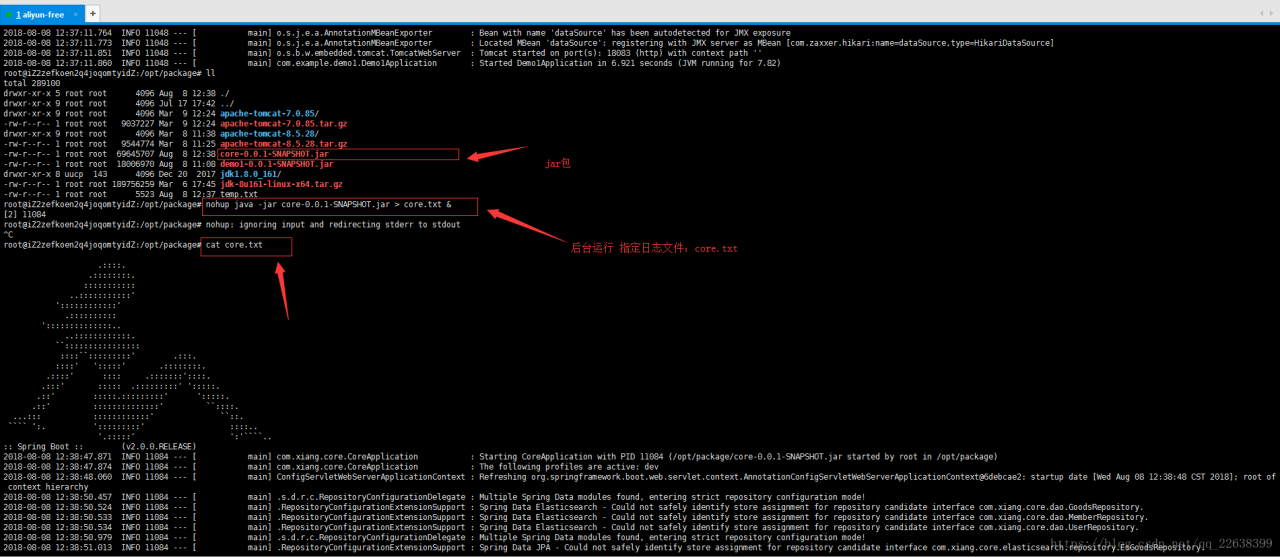 SpringBoot项目部署到服务器上的两种方式插图 SpringBoot项目部署到服务器上的两种方式插图