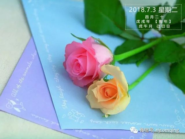 电力监控系统二次安全防护项目解决方案（一）插图