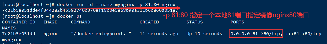 Docker 常用【容器】命令插图8 Docker 常用【容器】命令插图8