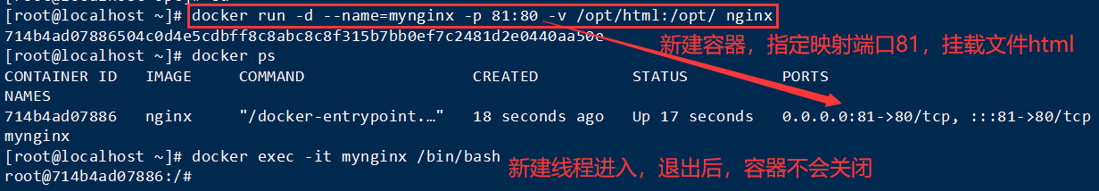 Docker 常用【容器】命令插图11 Docker 常用【容器】命令插图11