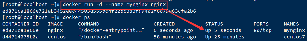 Docker 常用【容器】命令插图17 Docker 常用【容器】命令插图17