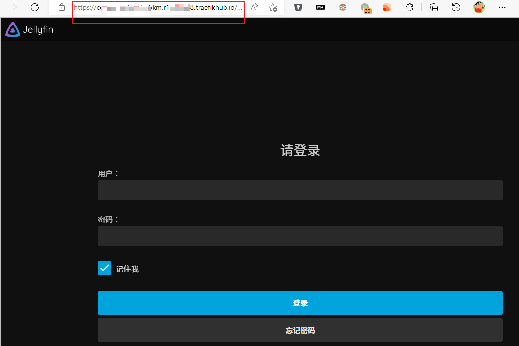 通过 Traefik Hub 暴露家里的网络服务插图21 通过 Traefik Hub 暴露家里的网络服务插图21