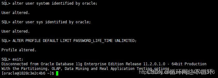 Docker部署Oracle并实现客户端连接插图7 Docker部署Oracle并实现客户端连接插图7