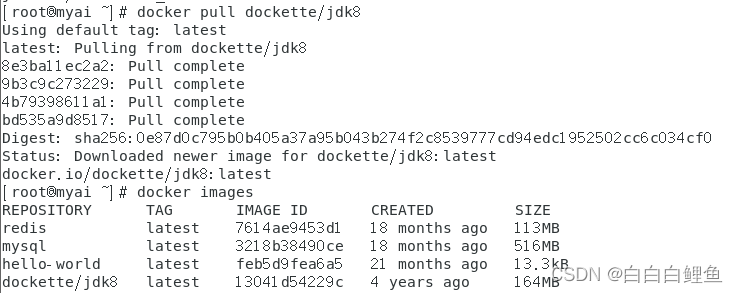 Docker部署(1)插图6 Docker部署(1)插图6
