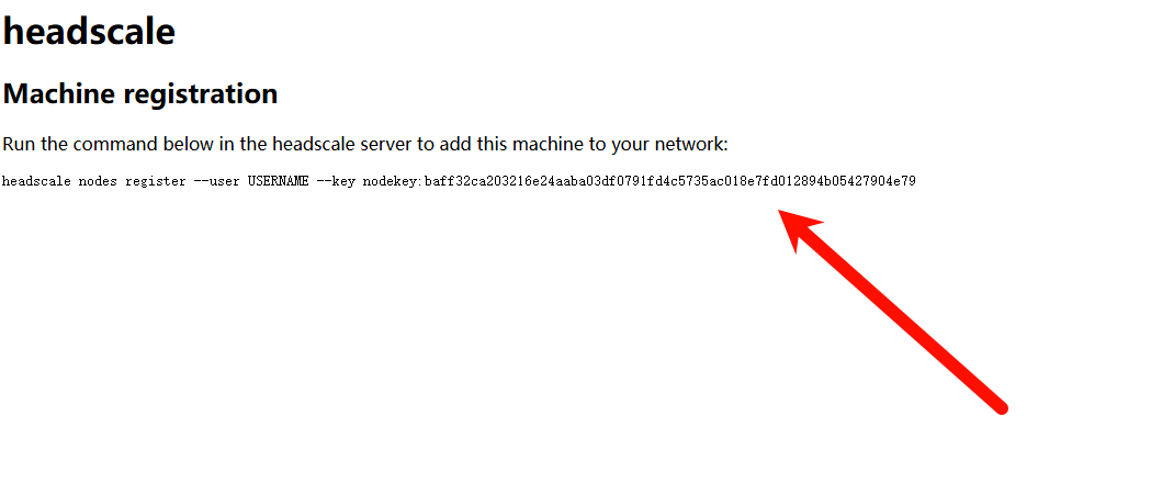 自部署Headscale开源免费的异地组网支持多平台简单快速上手教程插图9 自部署Headscale开源免费的异地组网支持多平台简单快速上手教程插图9