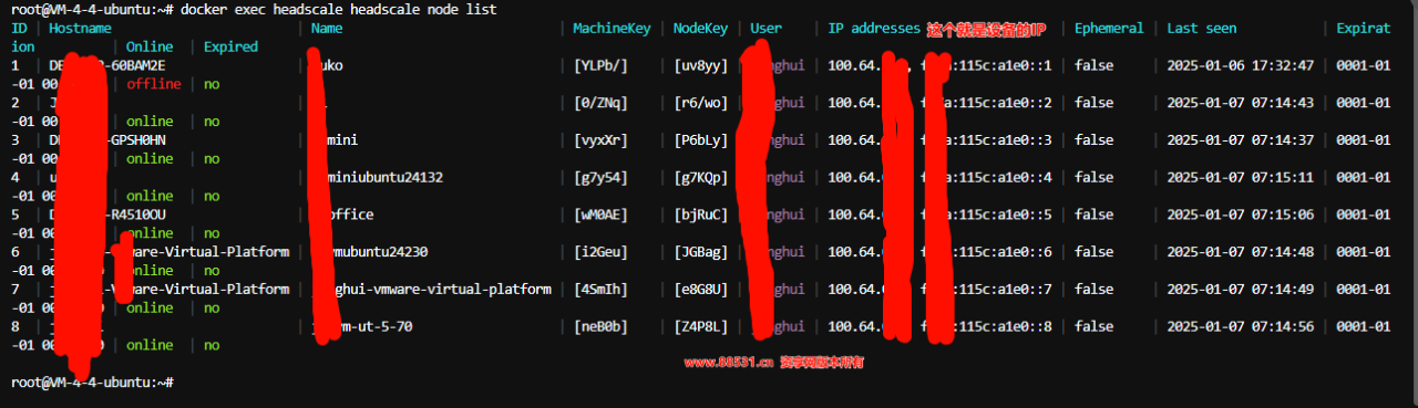 自部署Headscale开源免费的异地组网支持多平台简单快速上手教程插图11 自部署Headscale开源免费的异地组网支持多平台简单快速上手教程插图11