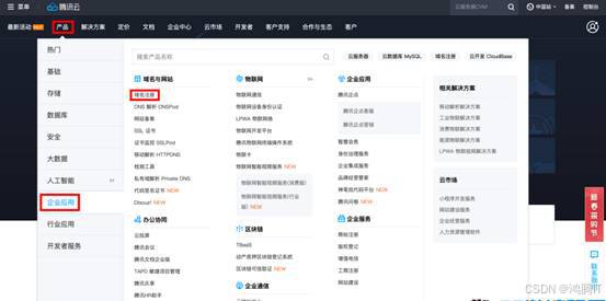 腾讯云自定义域名DDNS远程访问群晖NAS插图2