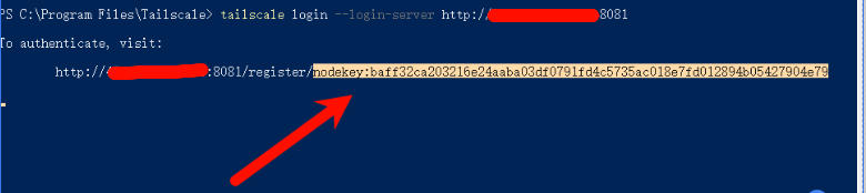 自部署Headscale开源免费的异地组网支持多平台简单快速上手教程插图6 自部署Headscale开源免费的异地组网支持多平台简单快速上手教程插图6
