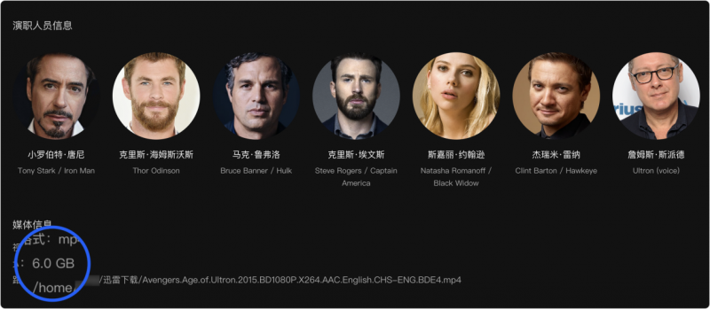 免会员、无广告!智能电视+绿联云TV端才是最优解插图4 免会员、无广告!智能电视+绿联云TV端才是最优解插图4